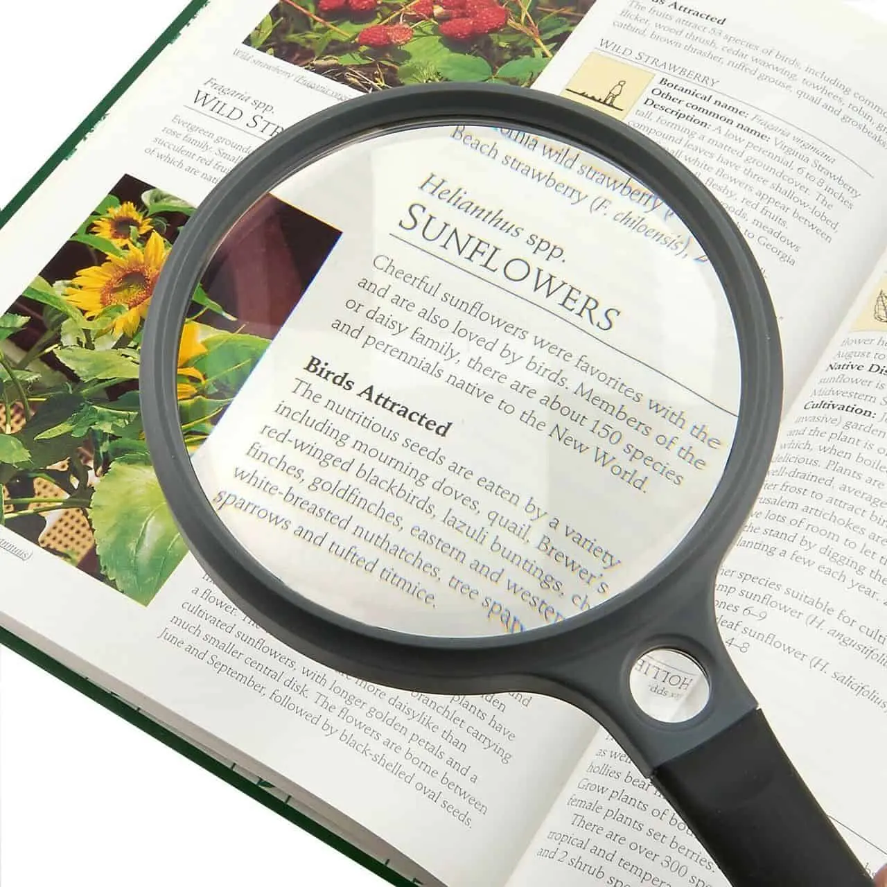 Carson SureGrip Magnifier - Image 2