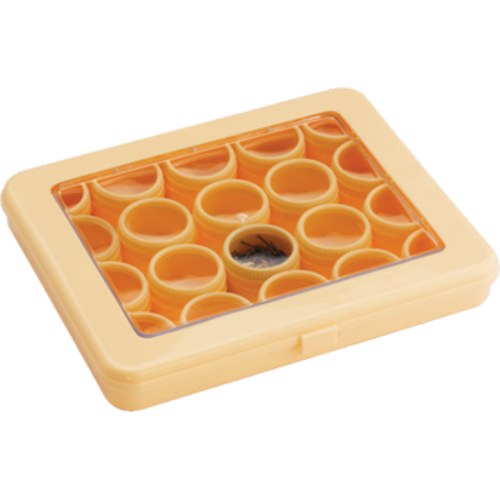 Anchor 20 Transparent Plastic Storage Tubs